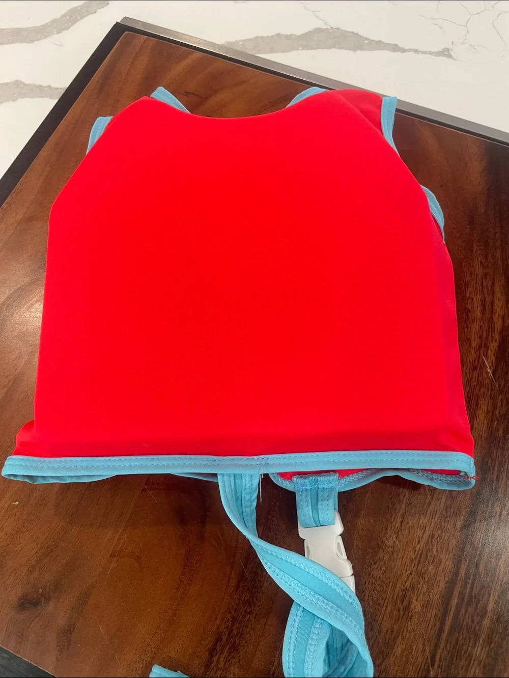 Disney Red and Light Blue Mickey & Pluto Swim Vest